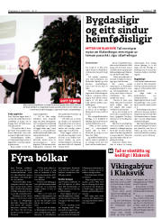 Síða 17