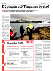 Síða 18