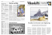 Síða 12