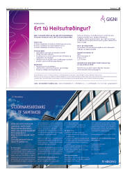 Síða 25