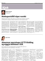 Síða 28