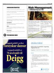 Síða 35