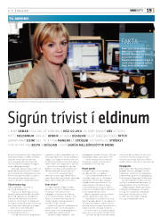 Síða 19