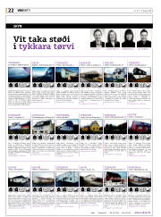 Síða 22