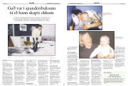 Síða 17
