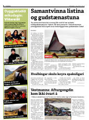 Síða 8