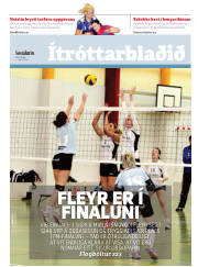 Síða 15