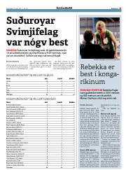 Síða 17