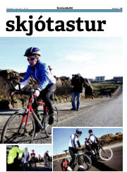 Síða 21
