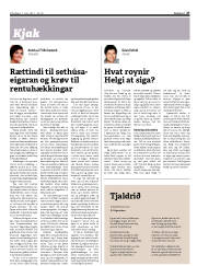Síða 27
