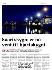 Síða 8