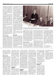 Síða 13