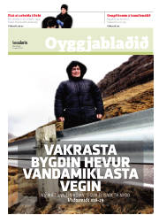 Síða 15