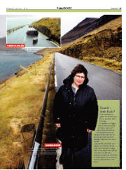 Síða 19