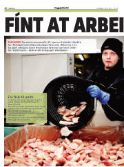 Síða 26