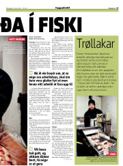 Síða 27