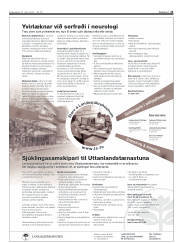 Síða 21