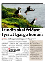 Síða 22