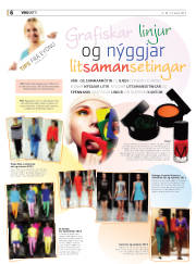 Síða 6