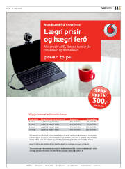 Síða 11