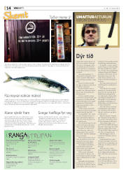 Síða 14