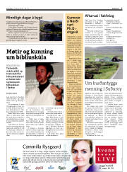 Síða 7