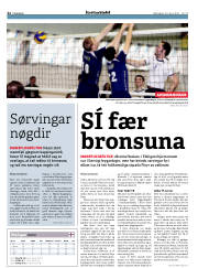 Síða 22