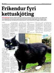 Síða 10