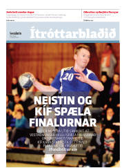 Síða 15