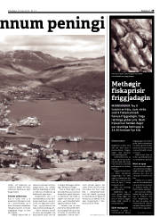 Síða 29