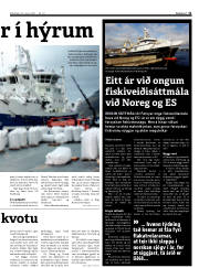 Síða 11
