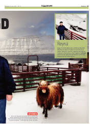 Síða 21