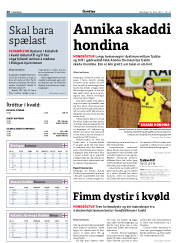 Síða 28