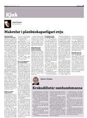 Síða 29