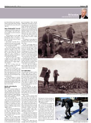 Síða 31