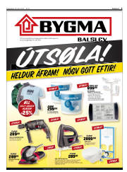 Síða 3