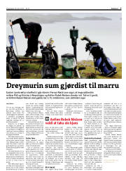 Síða 7