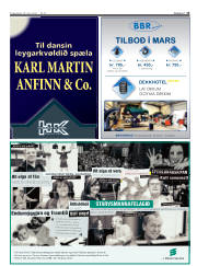 Síða 15