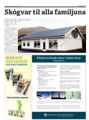 Síða 17