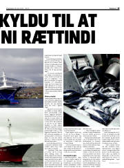 Síða 19
