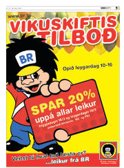 Síða 9