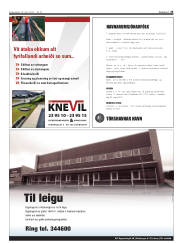 Síða 25