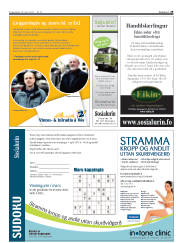 Síða 29