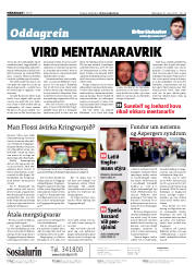 Síða 2