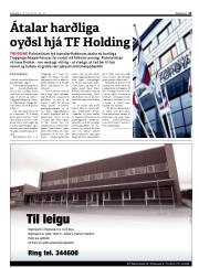 Síða 13