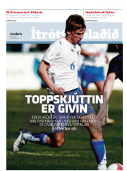Síða 17