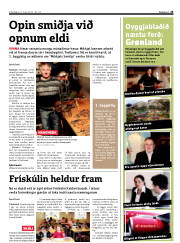 Síða 25