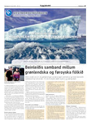 Síða 19