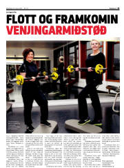Síða 33