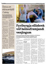 Síða 6